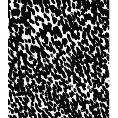 IMAGE_T