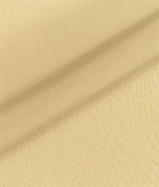 IMAGE_T
