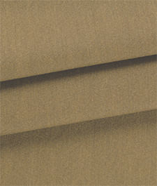 IMAGE_T
