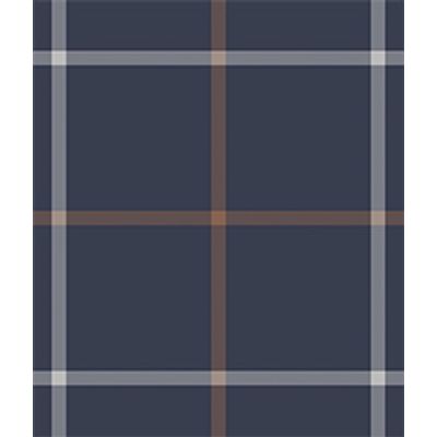 IMAGE_T