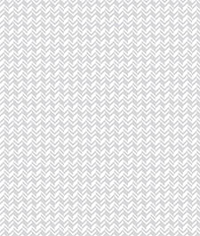 IMAGE_T