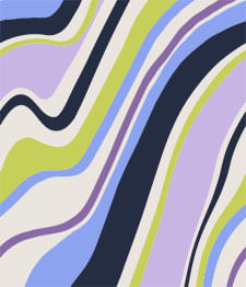 IMAGE_T