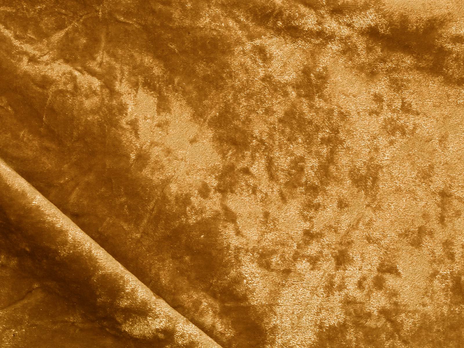 IMAGE_L