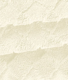IMAGE_T