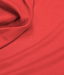 IMAGE_T