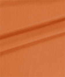 IMAGE_T