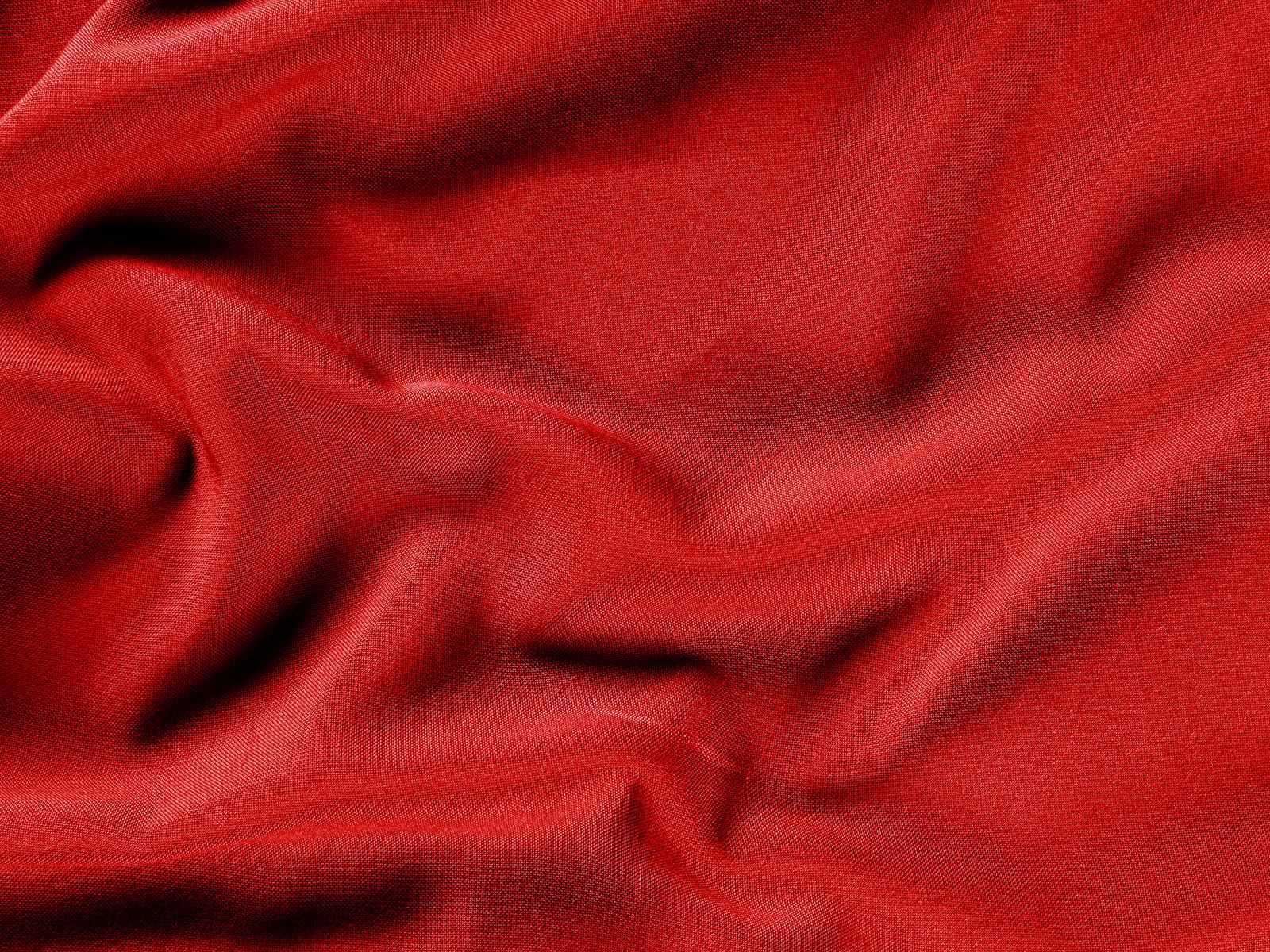 IMAGE_L