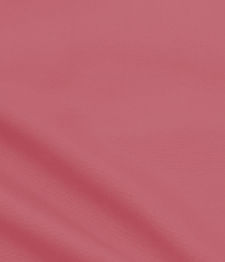 IMAGE_T
