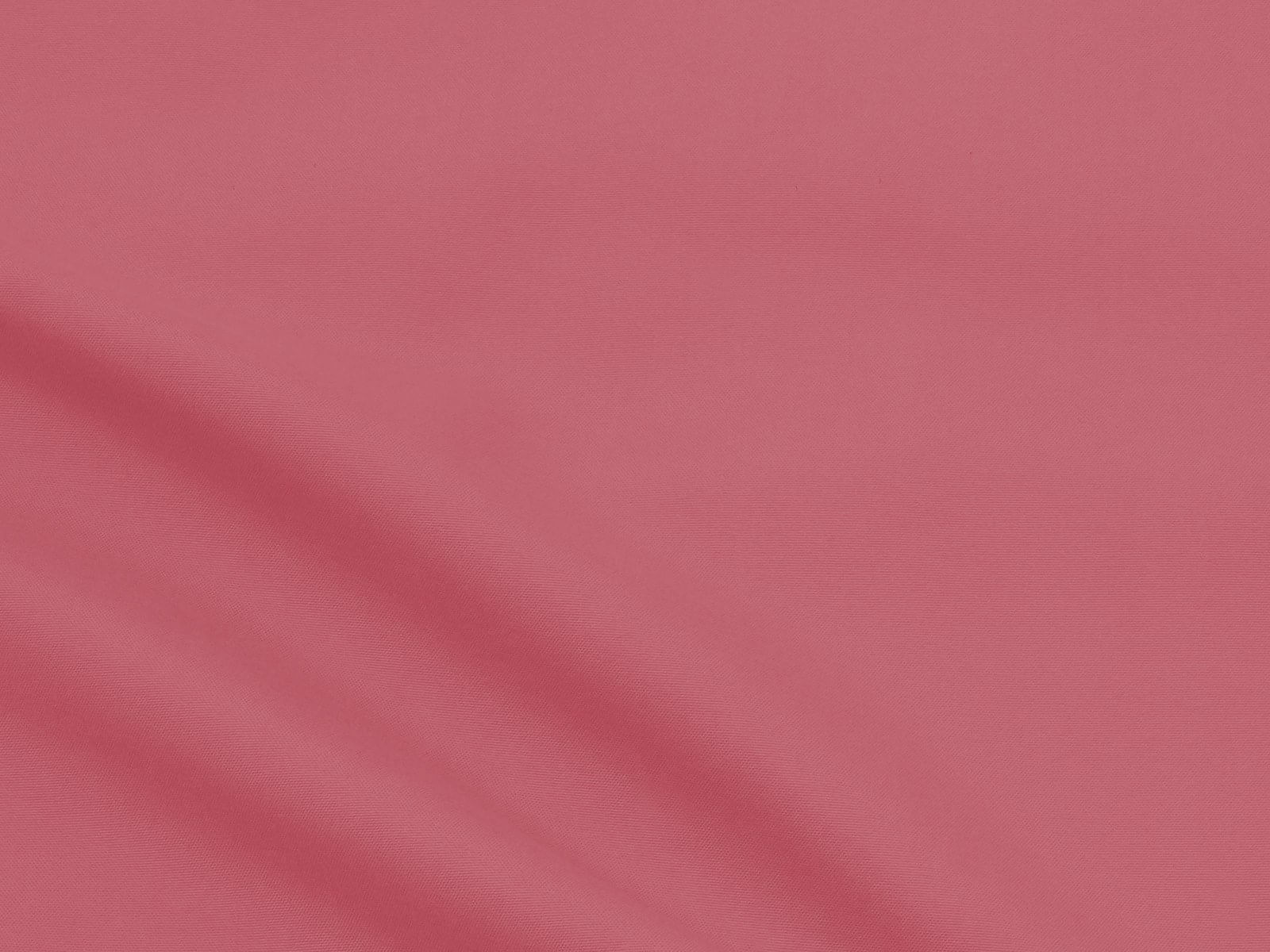 IMAGE_L