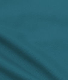 IMAGE_T