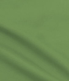 IMAGE_T