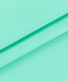 IMAGE_T