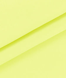 IMAGE_T