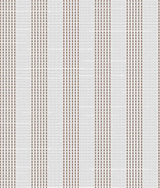 IMAGE_T