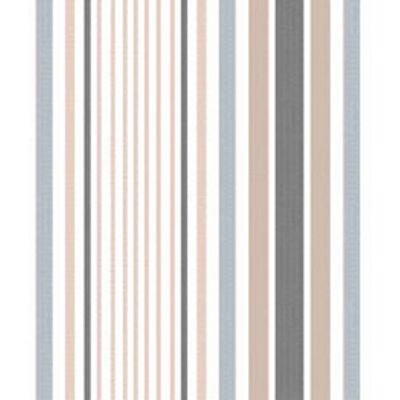 IMAGE_T