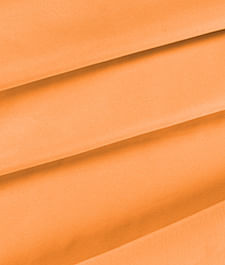IMAGE_T