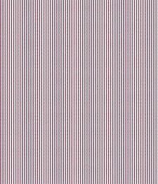 IMAGE_T