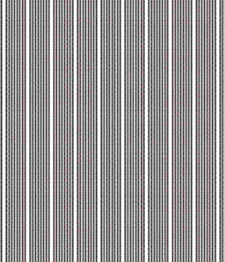 IMAGE_T