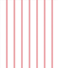 IMAGE_T