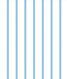 IMAGE_T
