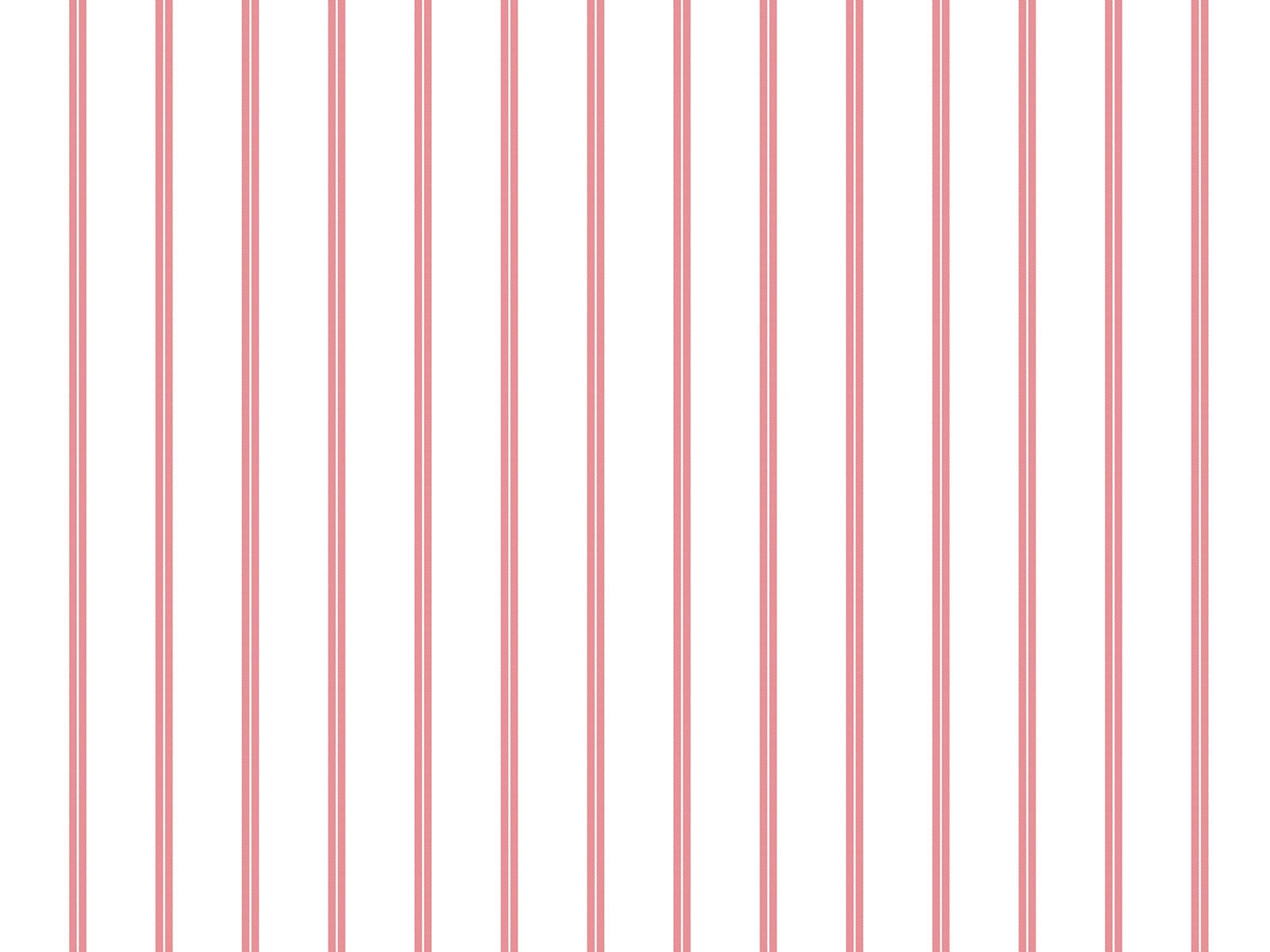 IMAGE_L