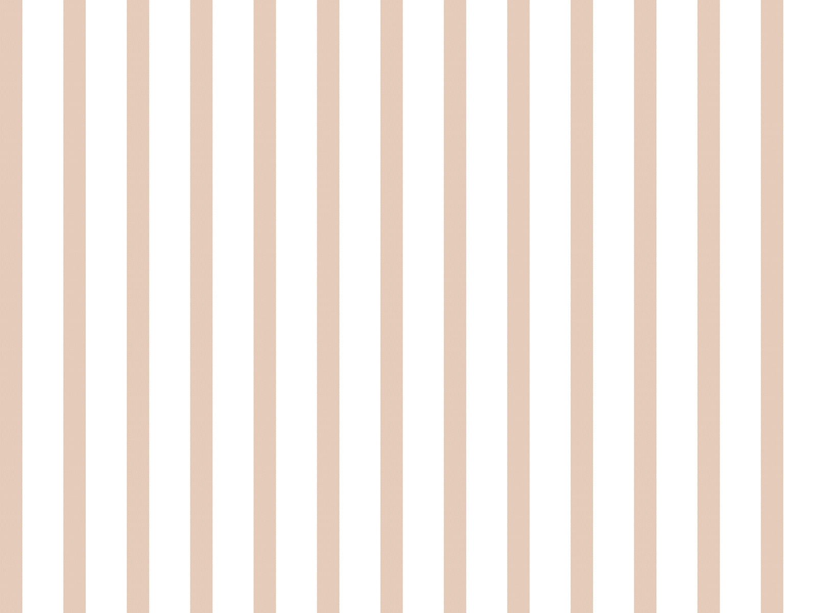 IMAGE_L