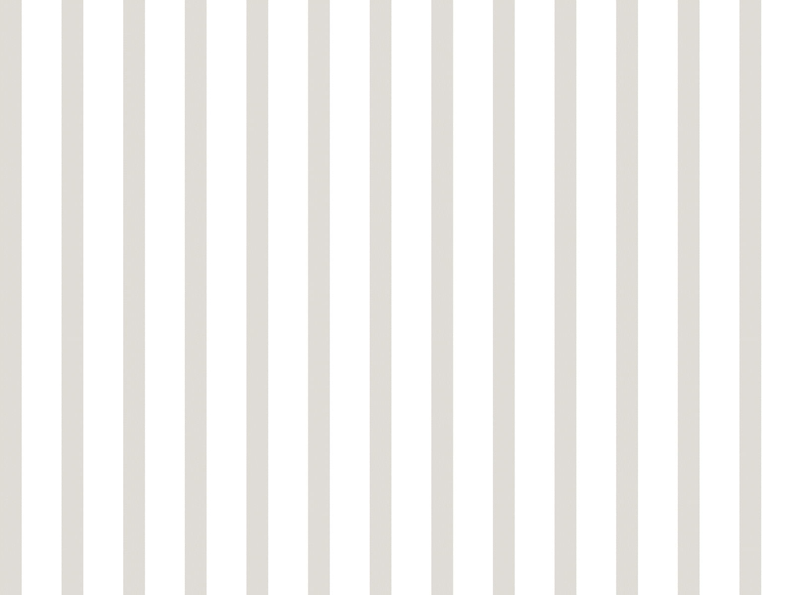 IMAGE_L