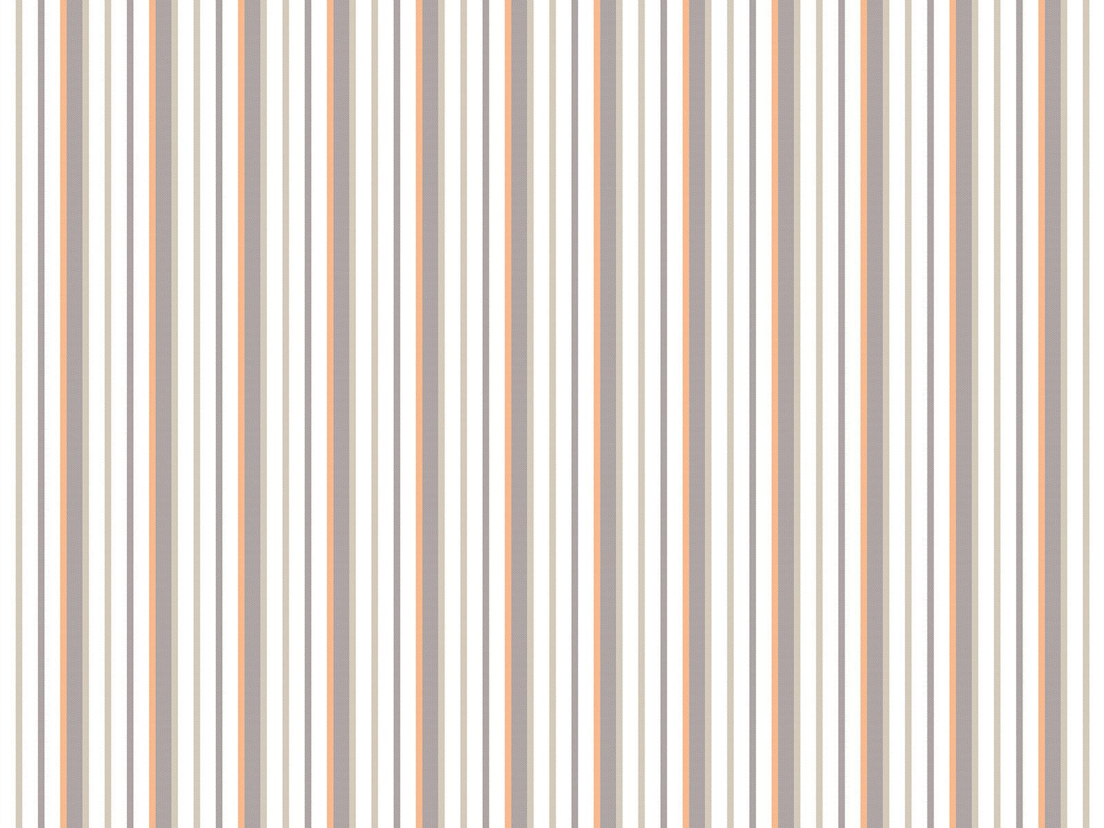IMAGE_L