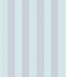 IMAGE_T