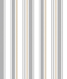 IMAGE_T