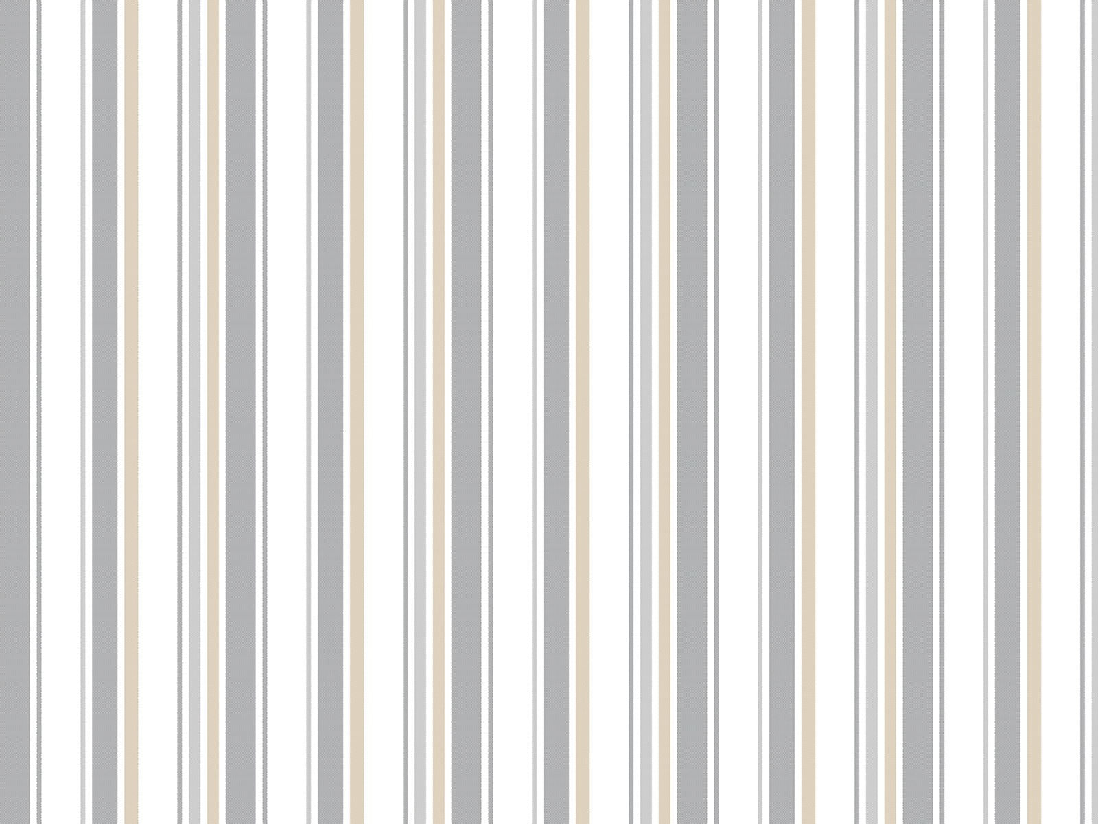 IMAGE_L