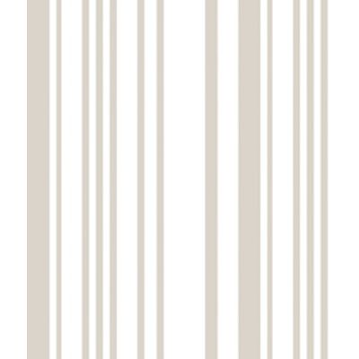 IMAGE_T
