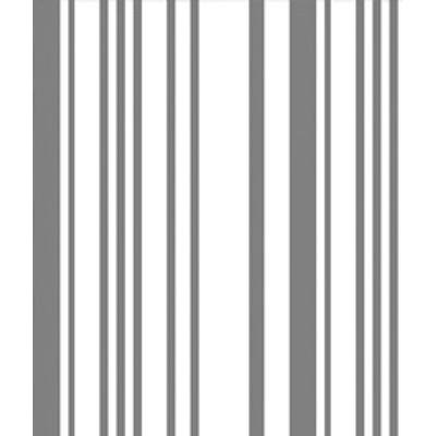 IMAGE_T