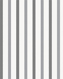 IMAGE_T