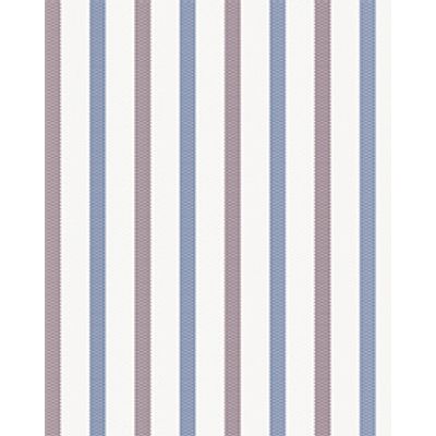 IMAGE_T