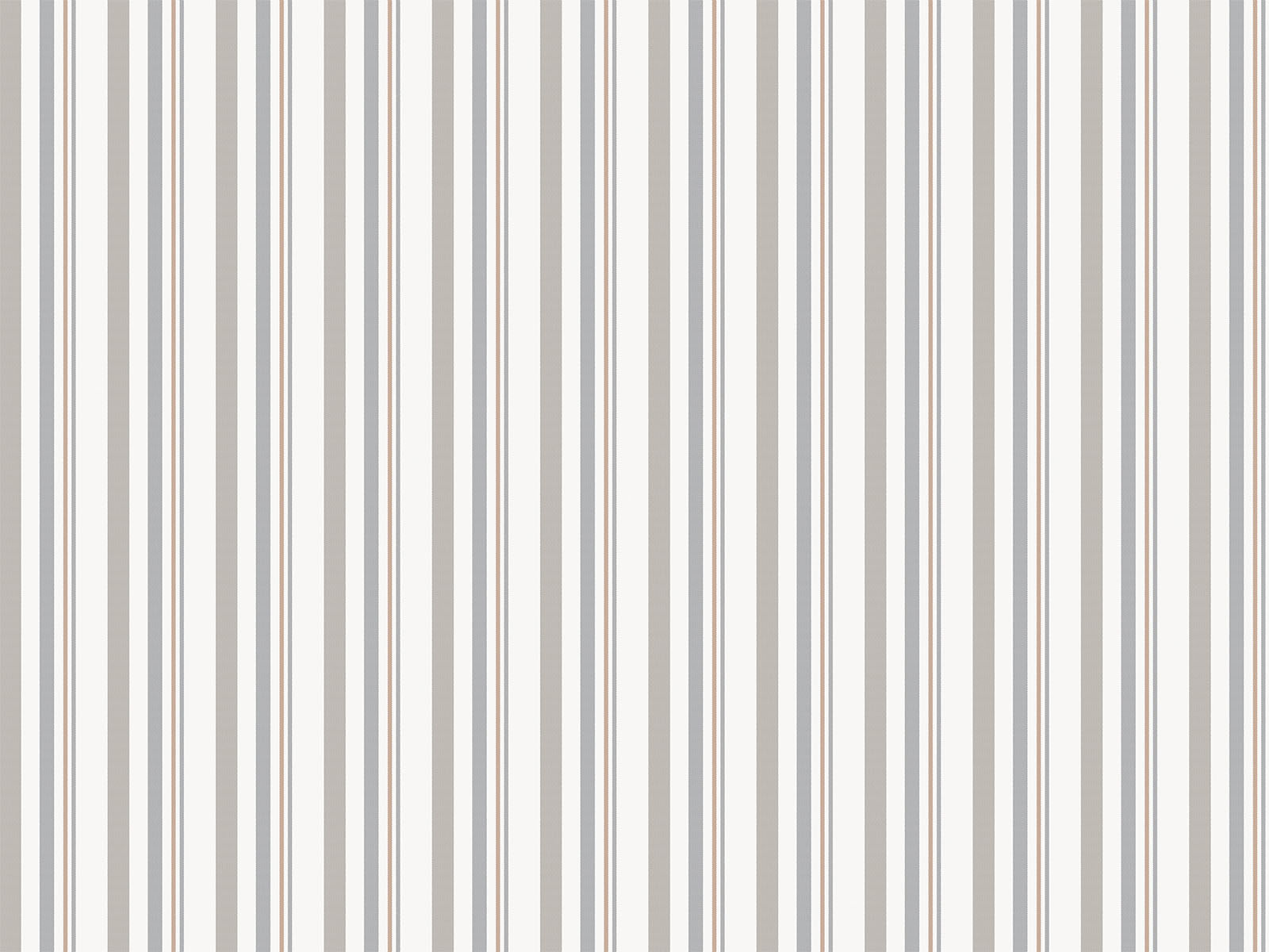 IMAGE_L