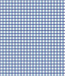 IMAGE_T