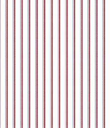 IMAGE_T