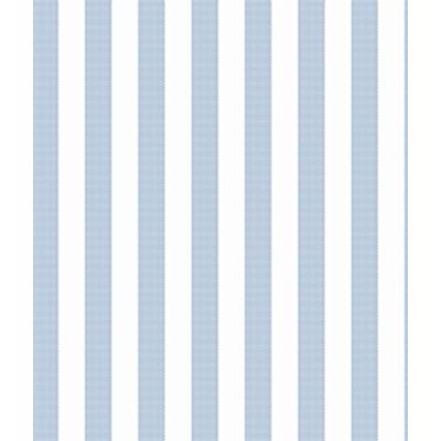IMAGE_T