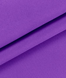 IMAGE_T