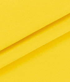 IMAGE_T