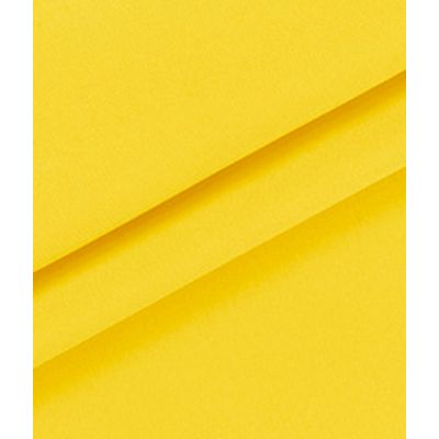 IMAGE_T