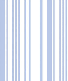 IMAGE_T