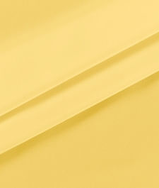 IMAGE_T