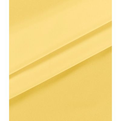 IMAGE_T