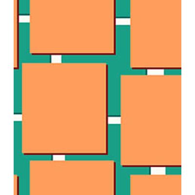 IMAGE_T
