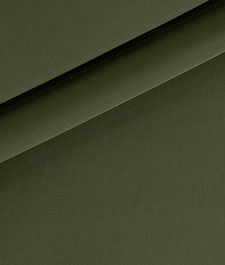 IMAGE_T