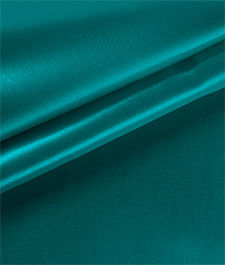 IMAGE_T