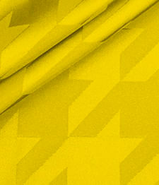 IMAGE_T