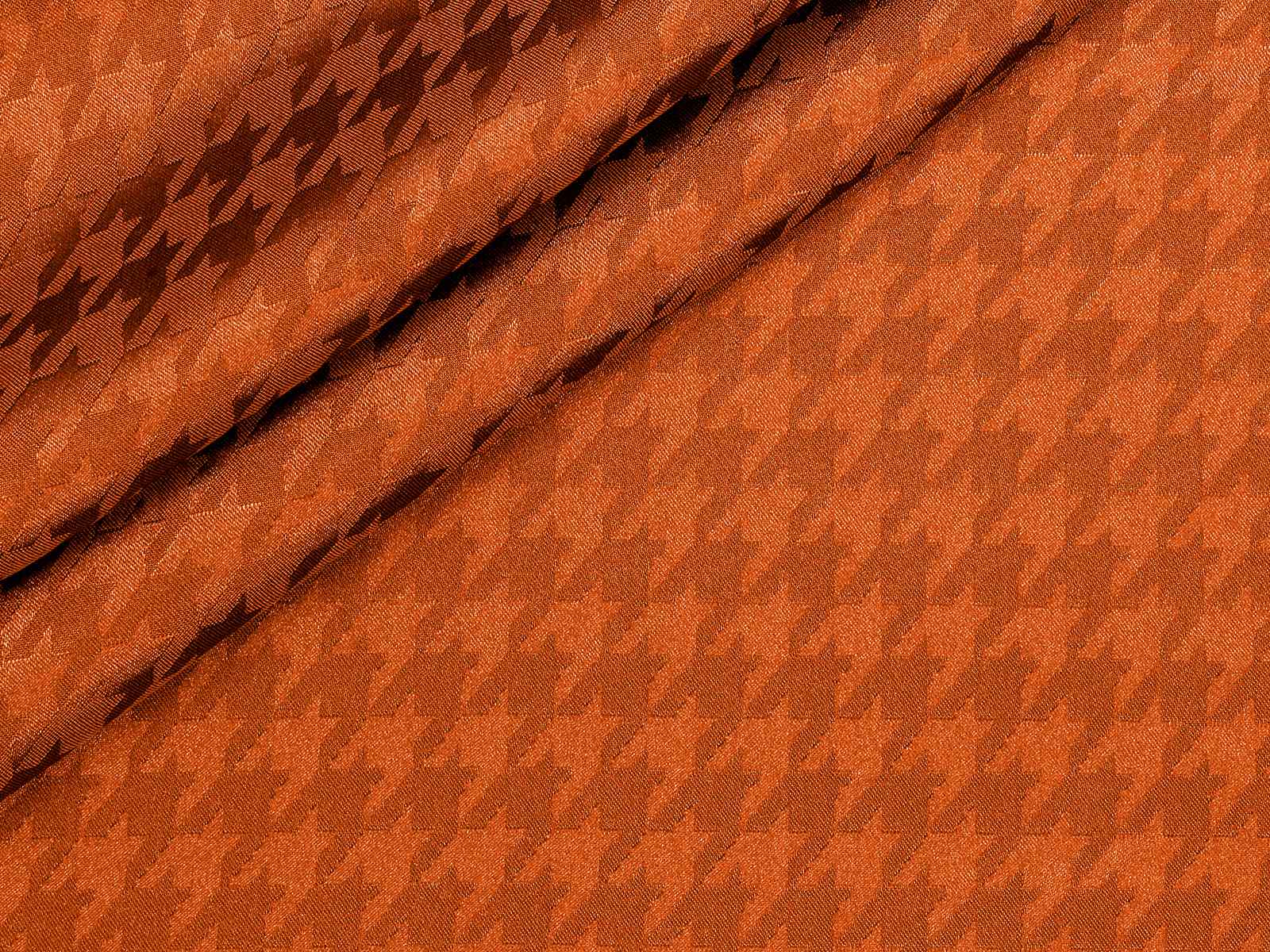 IMAGE_L